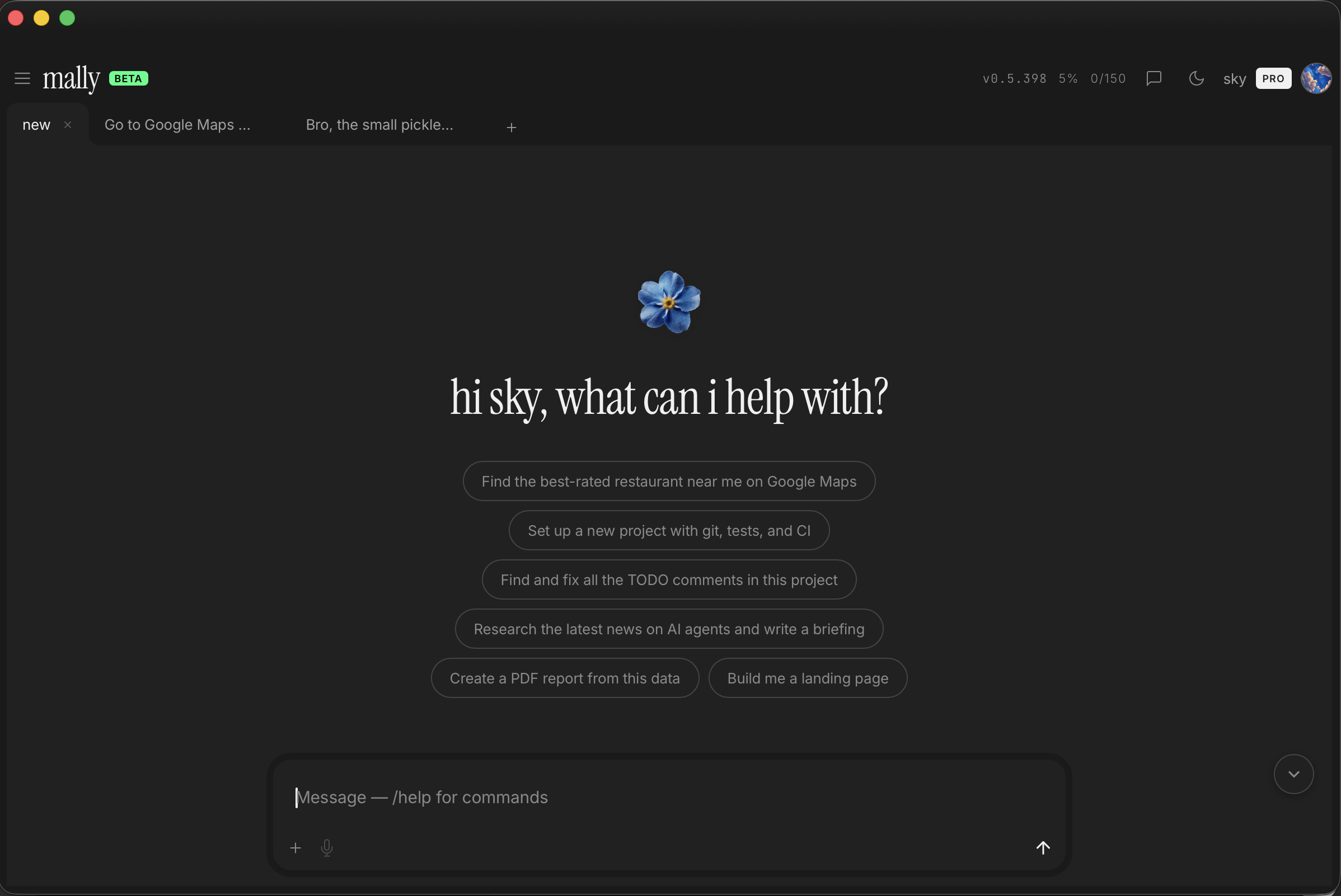Mally chat interface — hi sky, what can i help with?